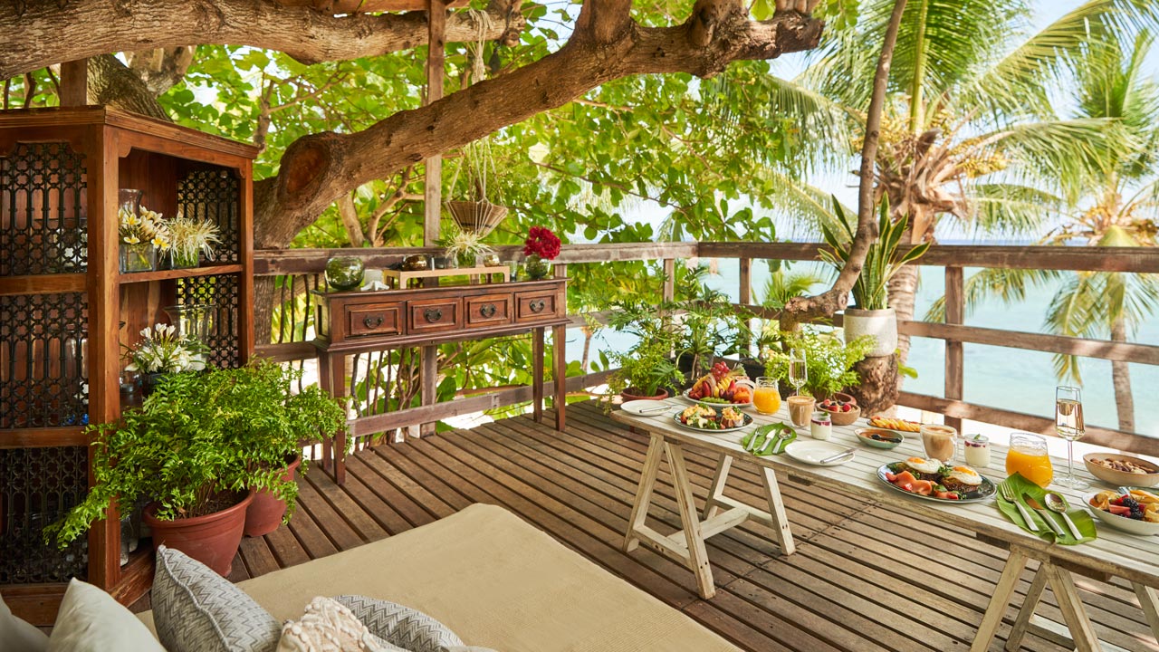 breakfast-in-a-tree-house