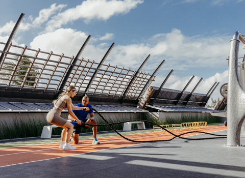 Muscle Up sur le toit