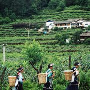 lijiang-et-ses-environs Jour 3