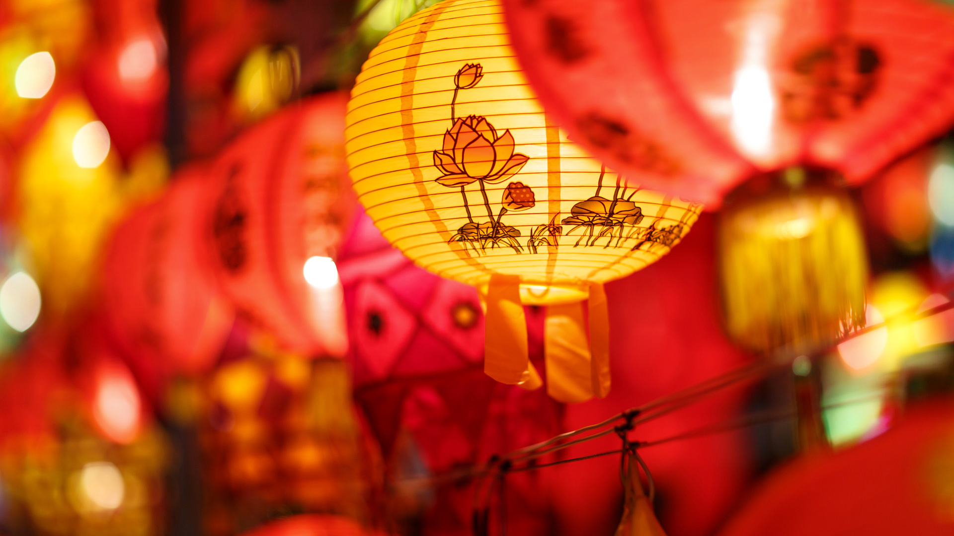 Chinese lanterns for Lunar New Year
