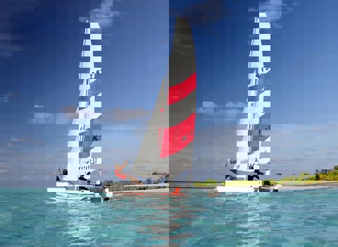 Catamaran Topcat