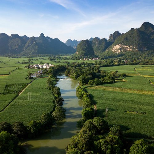 An Exploration of China’s Sugar Cane Industry