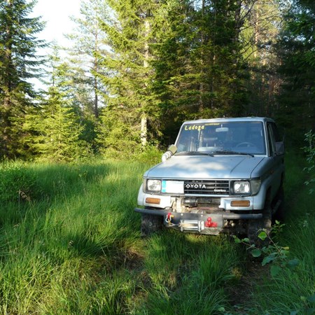 discover the wild south by 4x4