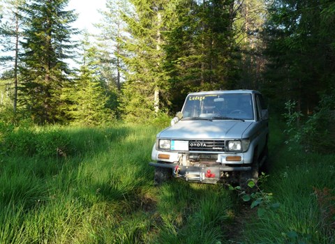 Discover the Wild South by 4X4