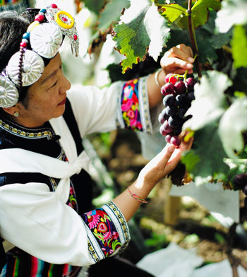 une-journée-dans-la-peau-d’un-local-de-daju