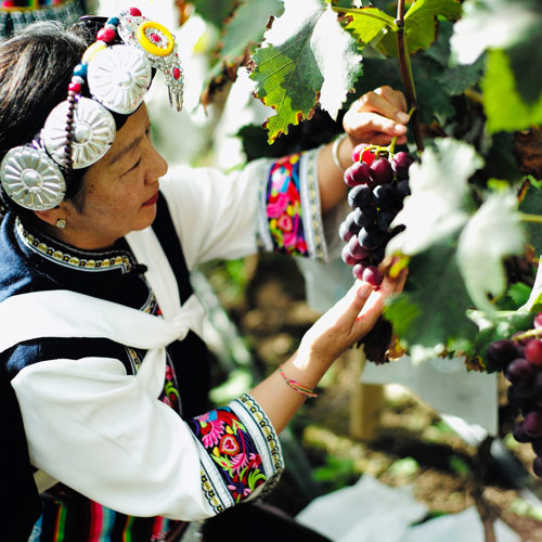 A Day in the Life in Daju