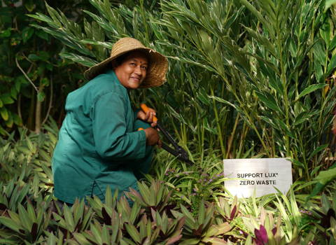 Un resort sans gaspillage alimentaire