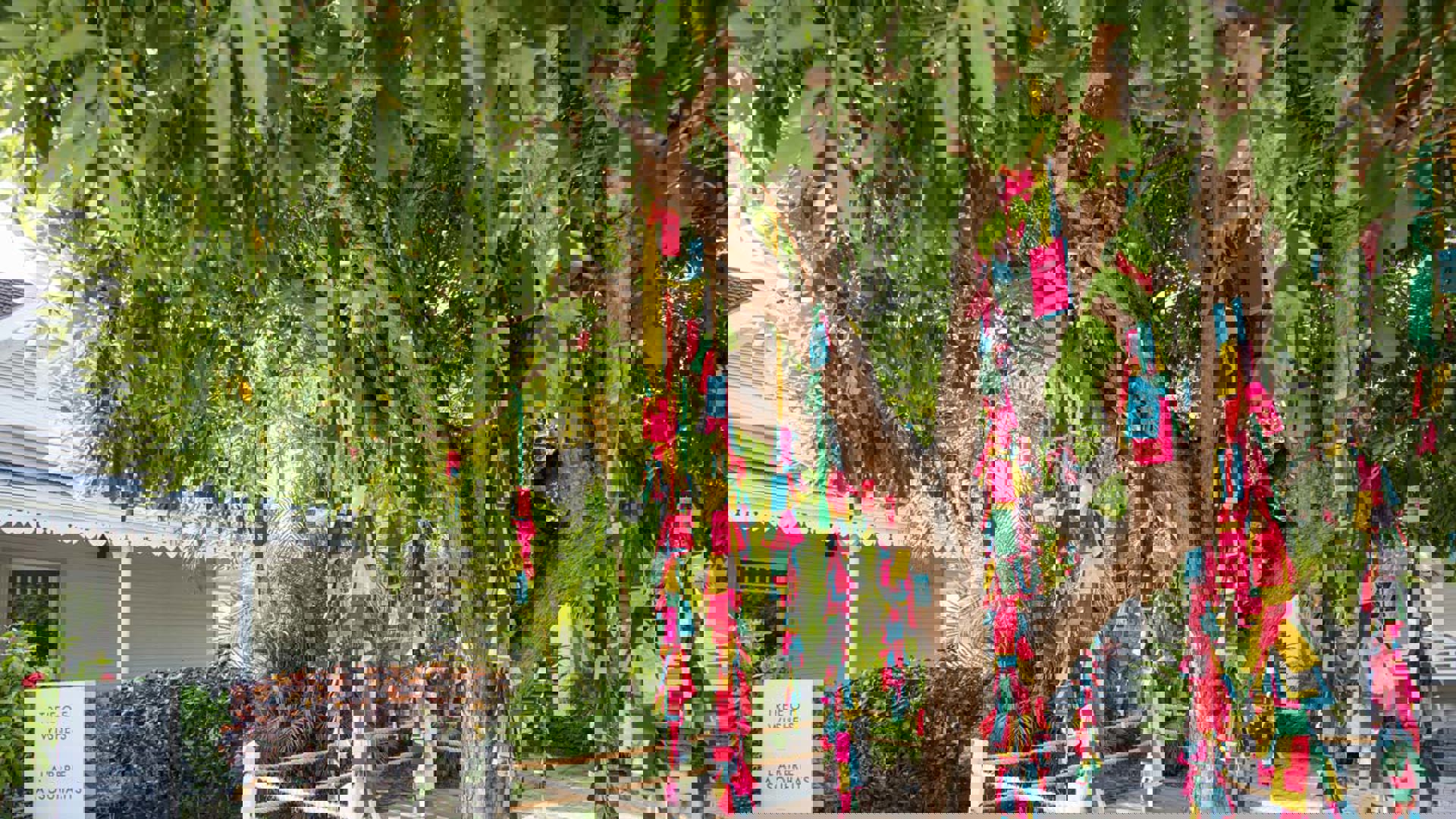 Tree of Wishes at LUX* Saint Gilles, Reunion Island