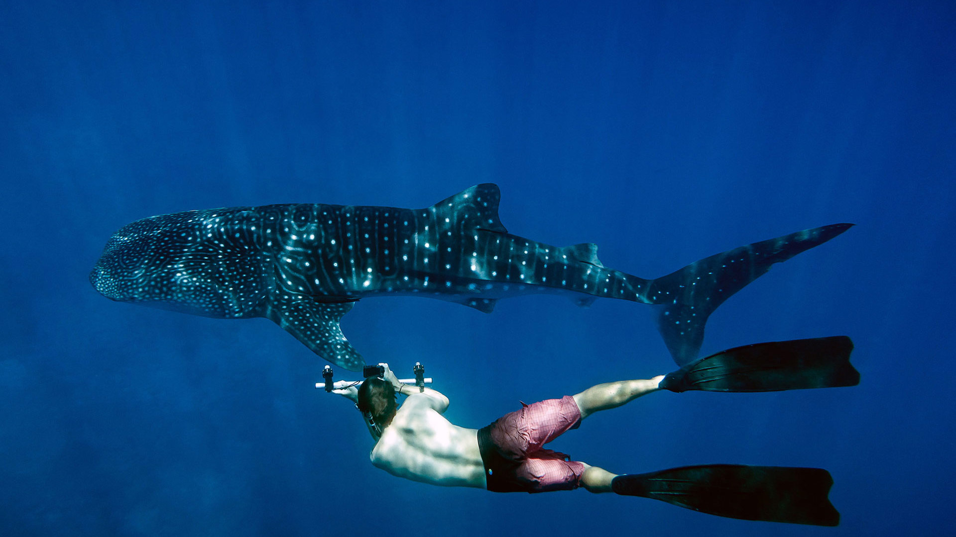 a unique all-inclusive maldives stay