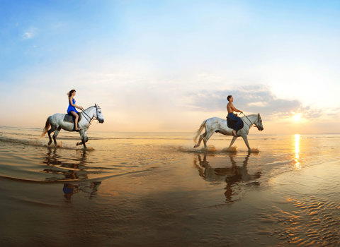 Horse Riding