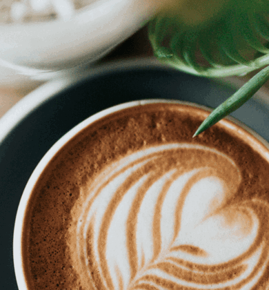 CAFÉ LUX<BDI>*</BDI>