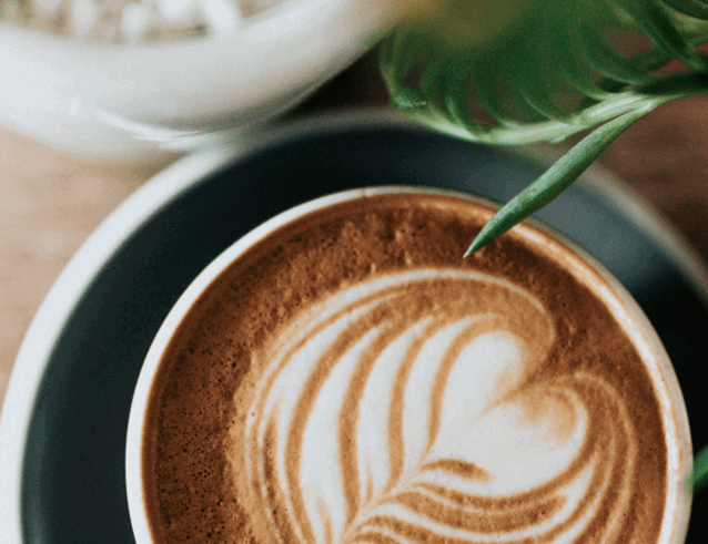 café lux<bdi>*</bdi>-1