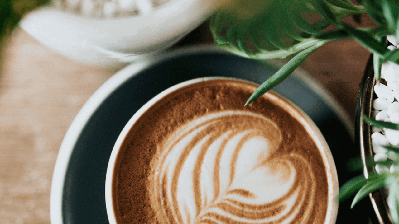 Café LUX*