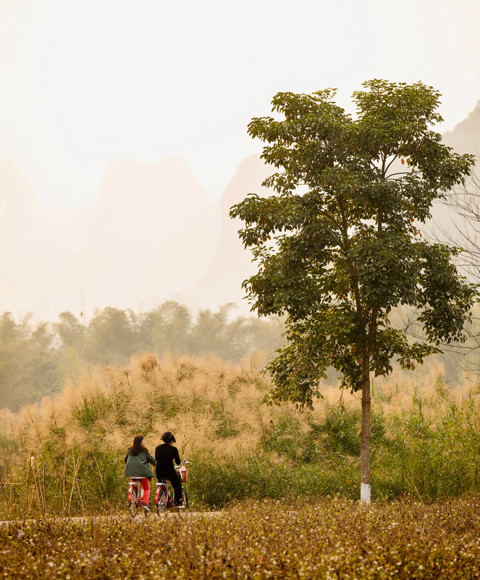 Bicycling & Outdoor Jogging