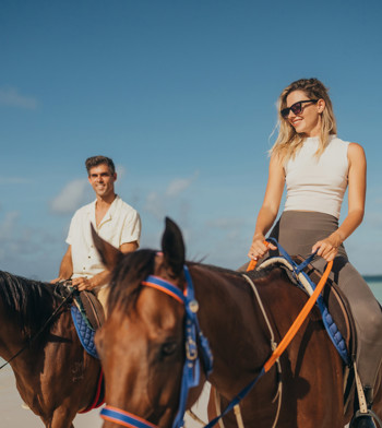 horses,-horizons-&-barefoot-breakfast