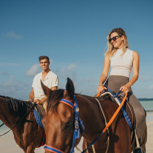 Chevaux, Horizons & Petit-Déjeuner Pieds Nus
