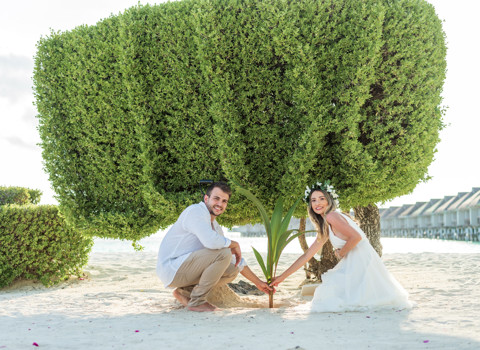 Zero-Waste Weddings