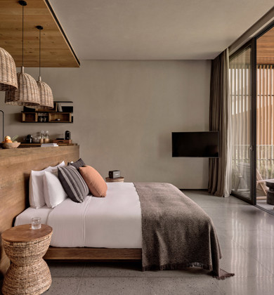 LUX<BDI>*</BDI> SUITE