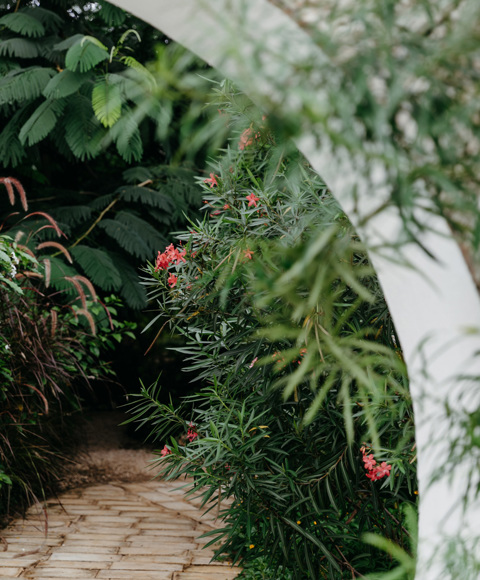 From Forest Bathing to Sandbank Yoga