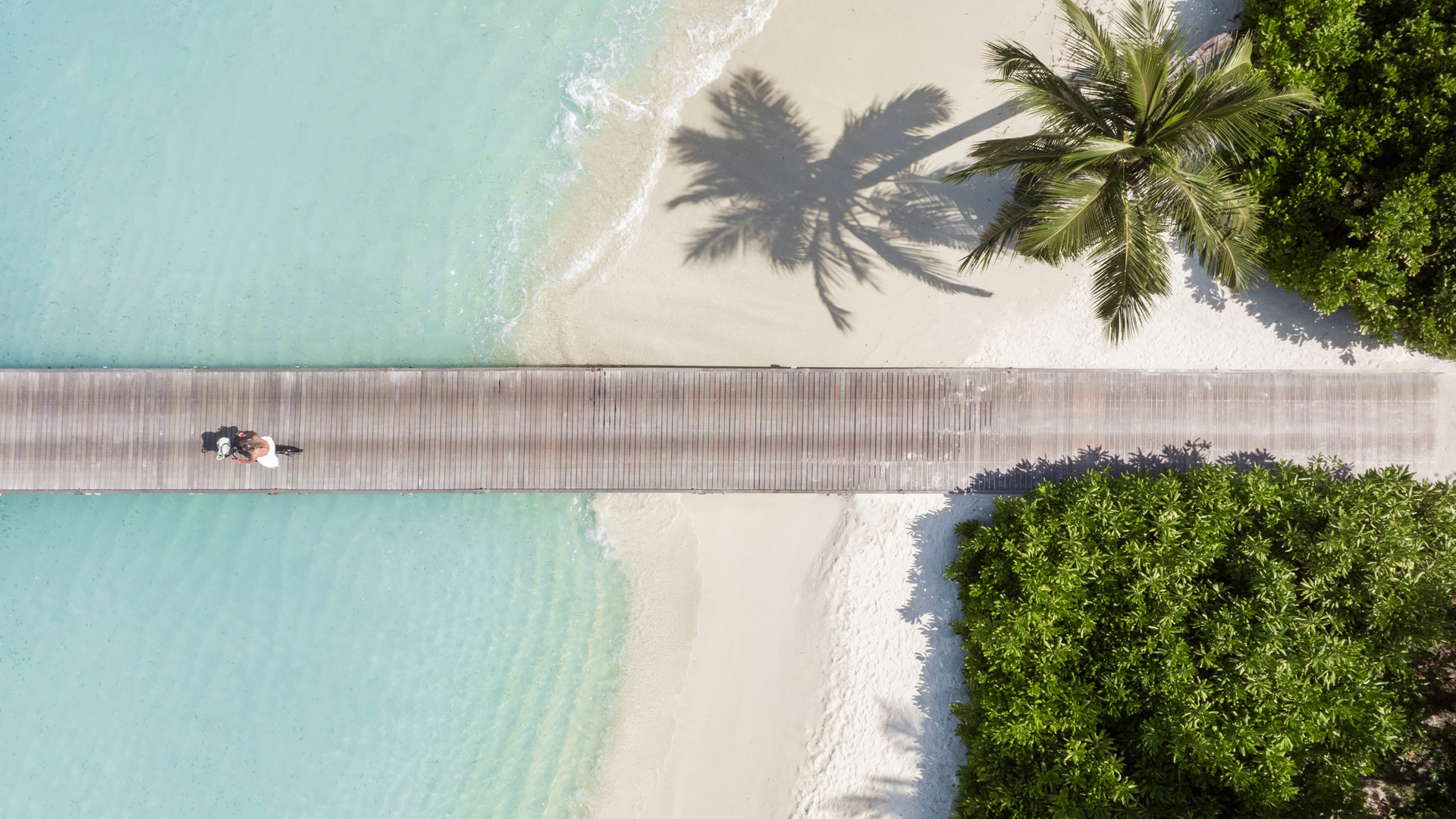 fly emirates, stay lux<bdi>*</bdi> オファー