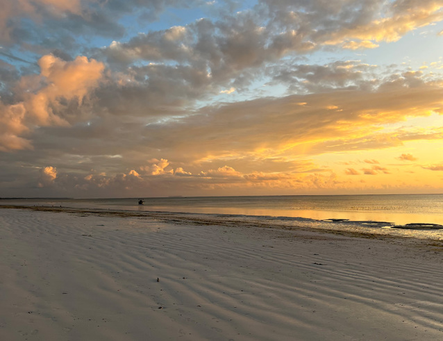expériences culinaires en bord de mer