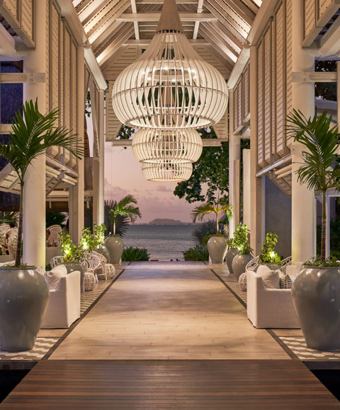 A retro-chic, tropical design