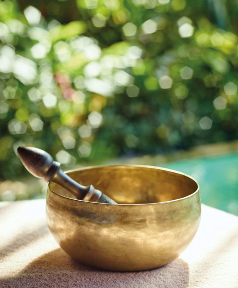 Wellness Retreats