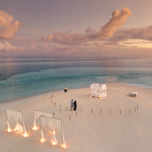 Valentine's Celebrations