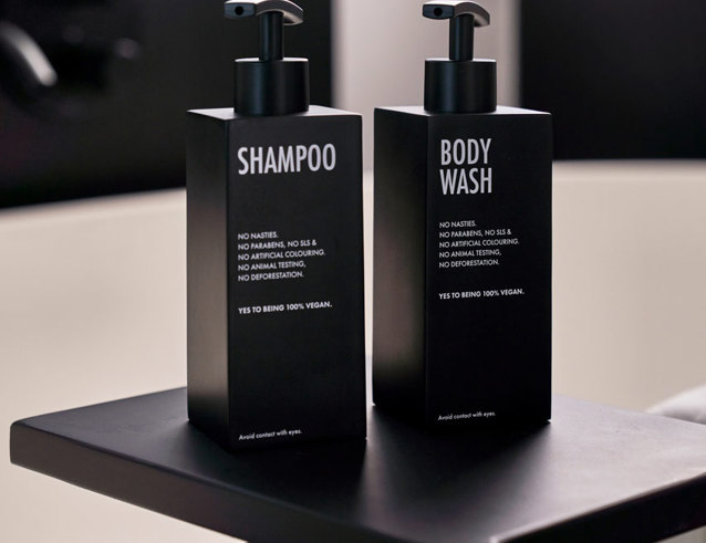 lux<bdi>*</bdi> junior suites-4