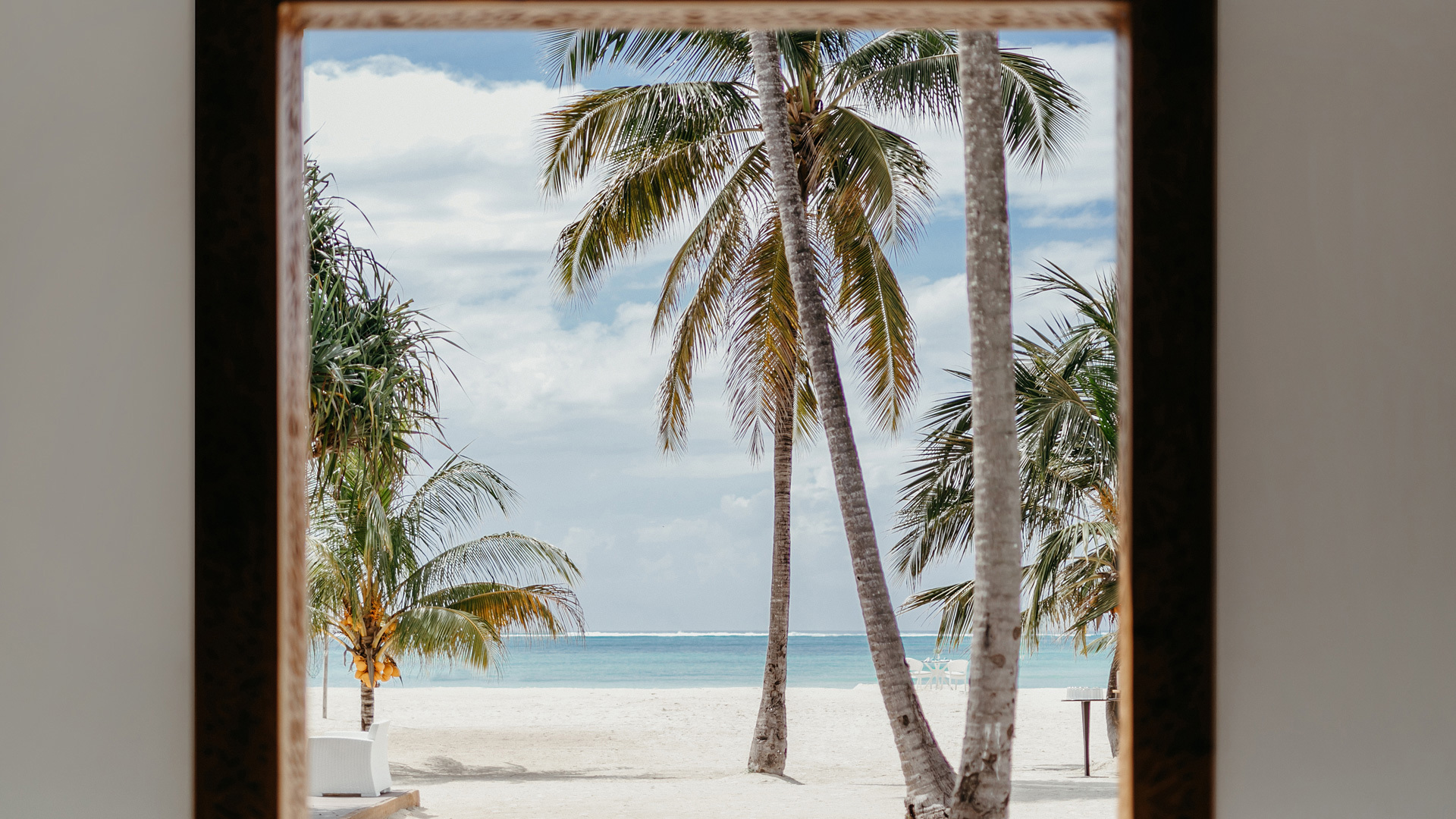 Palm trees on the beach of LUX* Marijani